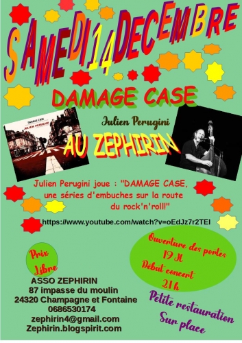 affiche DAMAGE CASE 2024.jpg